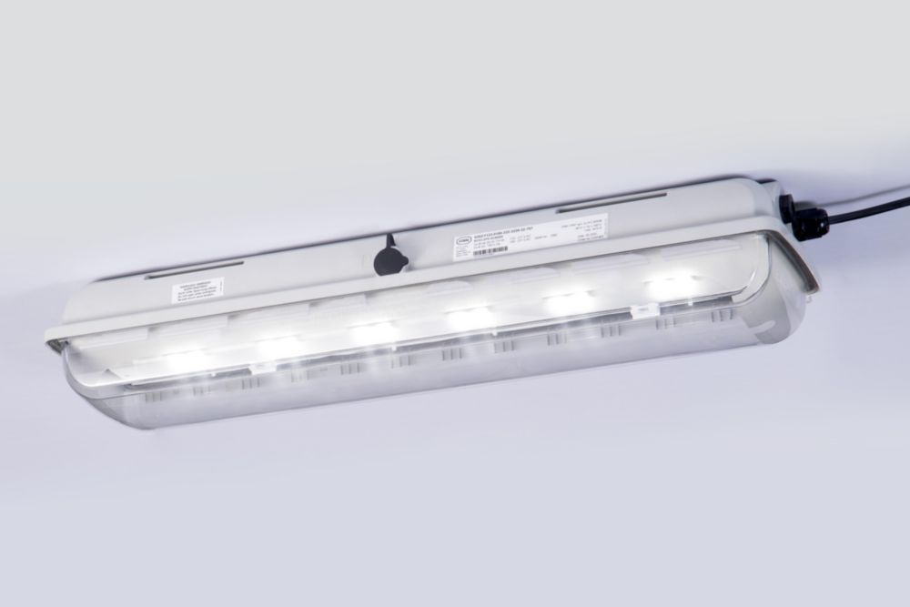 Linear Luminaire Series 6202 R. STAHL