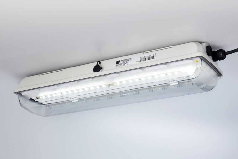 Linear Luminaire with LED EXLUX Series L402/4 R. STAHL