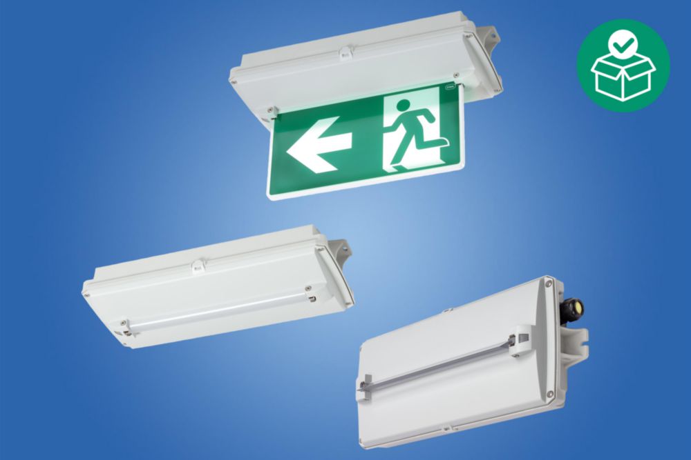 6102/111-0100-150-0111-31-0850-00, Emergency luminaire LED, Control interface: without, Variant: Without diffuser 15° Zone 1, 2, 21, 22