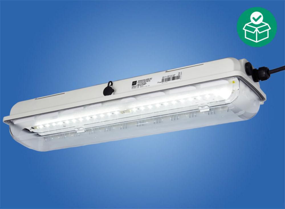EXLUX Langfeldleuchte mit LED, Standard, 5000K - Neutralweiß; 5770lm, Bohrungen: 3 x M25; Baugröße: 4, Zone