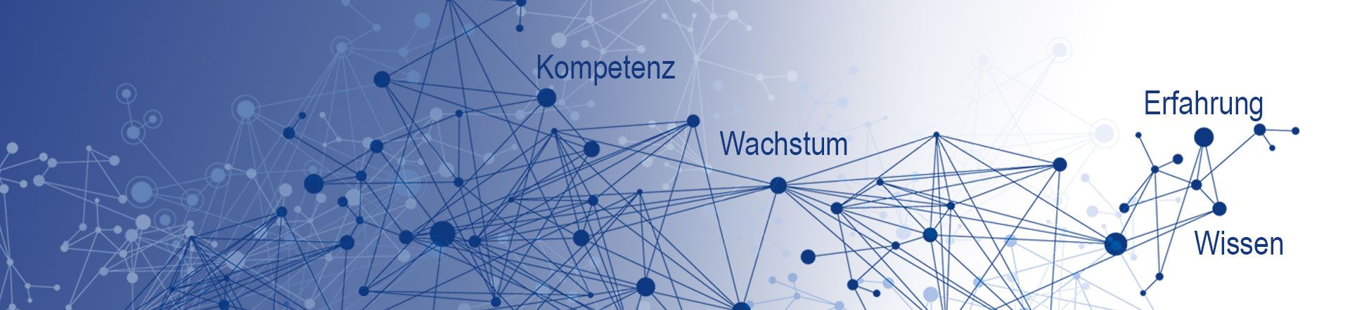 Ex Seminare Kompetenzen Erfahrung Expertenwissen R. STAHL