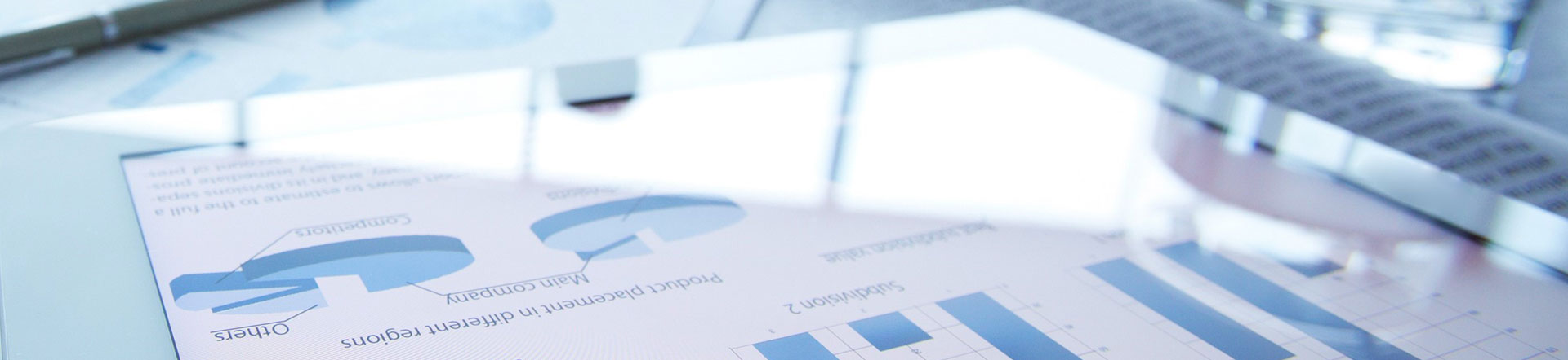 Ex Corporate governance report R. STAHL