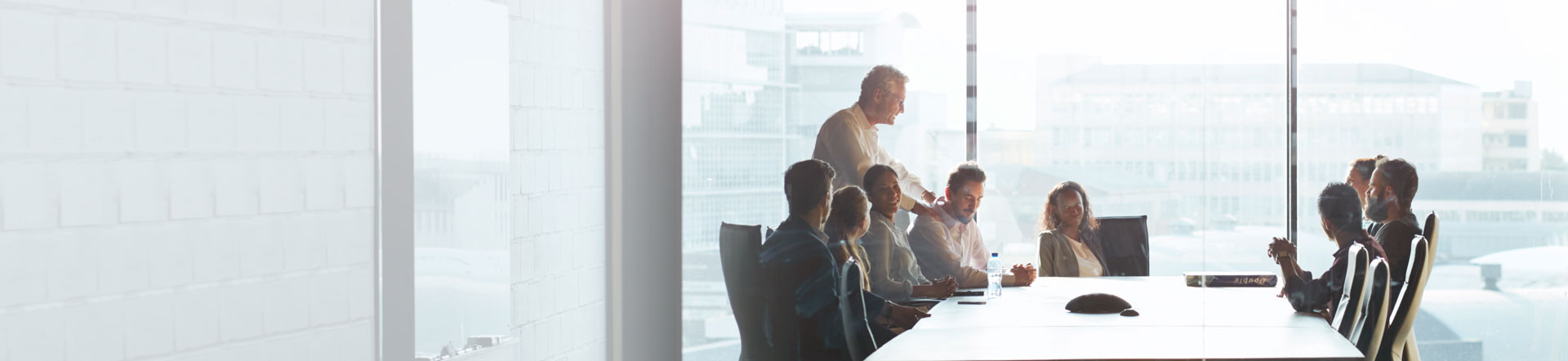 Ex Remuneration system of the Executive Board and Supervisory Board R. STAHL